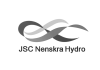 nenskra logo